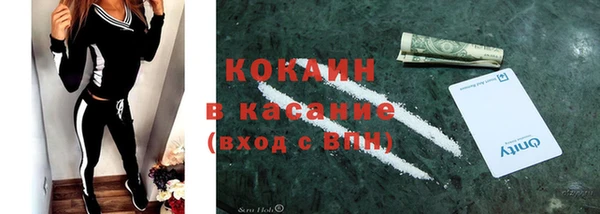 прущий лед Богданович