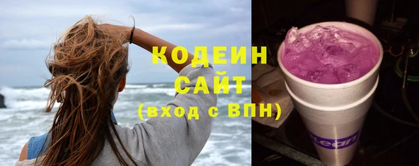 мдпв Богородск
