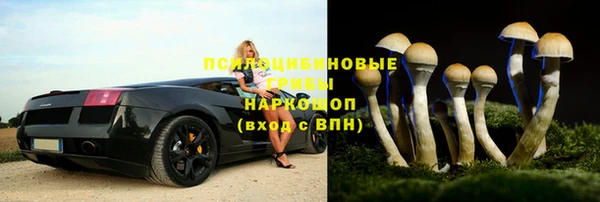 шишки Богородицк