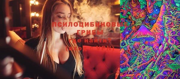 мдпв Богородск