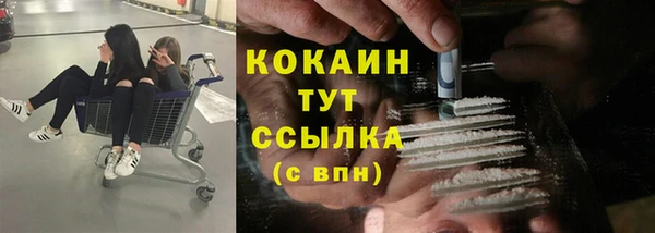 мдпв Богородск