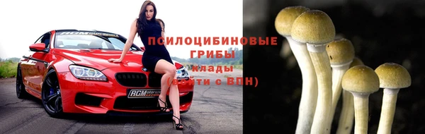 мдпв Богородск