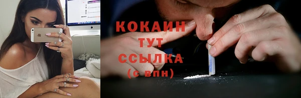 эйфоретик Осинники