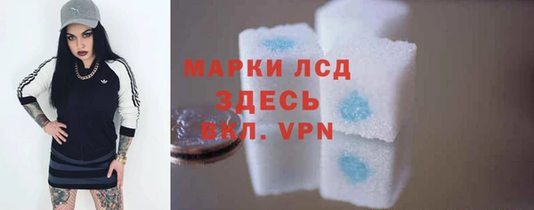 шишки Богородицк