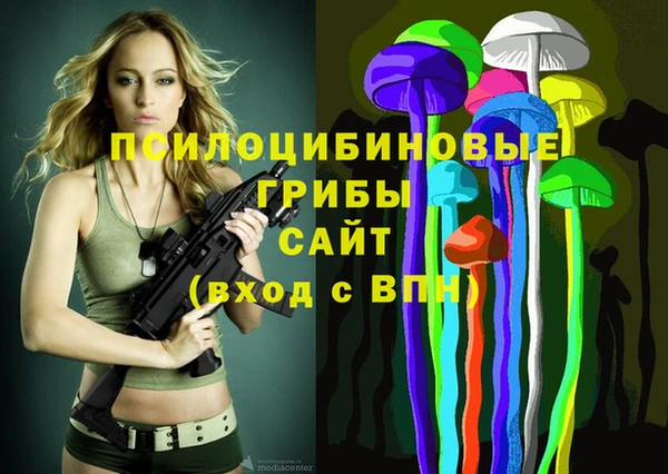 прущий лед Богданович