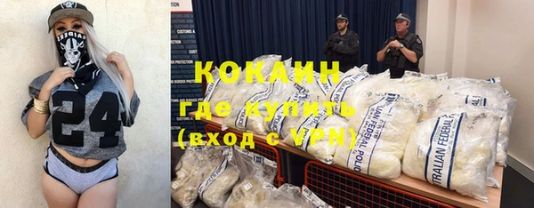 прущий лед Богданович
