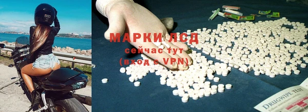 прущий лед Богданович