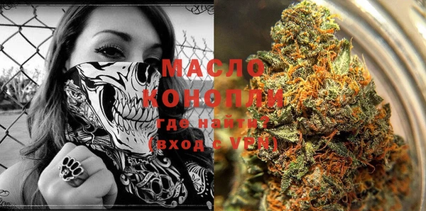 прущий лед Богданович