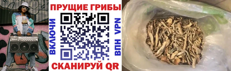 что такое   Дмитров  Галлюциногенные грибы мицелий 