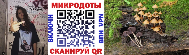 Псилоцибиновые грибы Psilocybine cubensis Дмитров